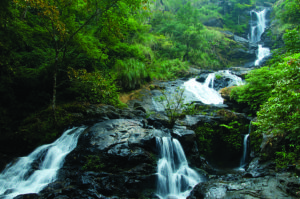 iruppu-falls