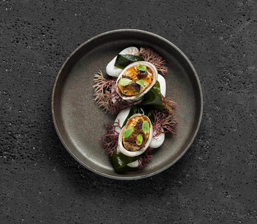 24 korean abalone