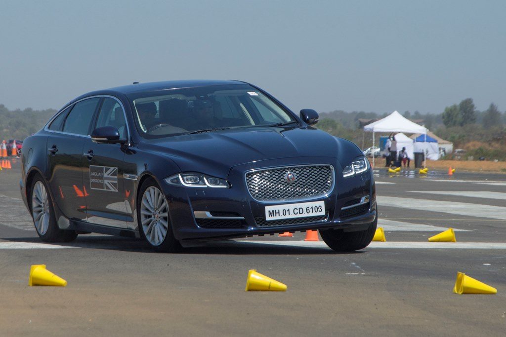 Jaguar_1