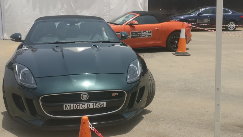 Jaguar_2 (2)
