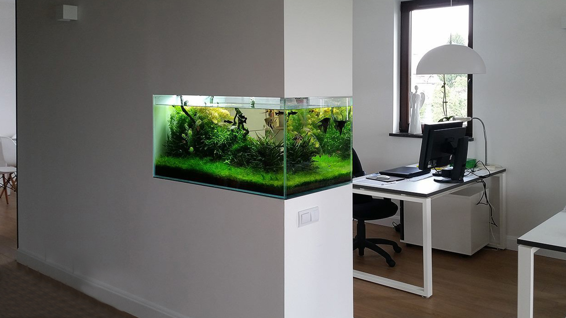 Aquarium at workspace @PeakLife
