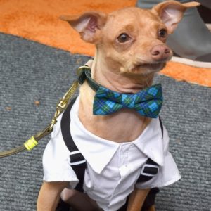 tuna the dog @PeakLife