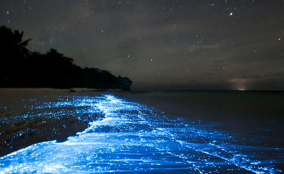 Jamaica 2