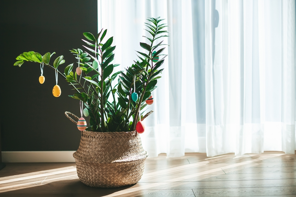Decorating Your First Apartment on a Budget Here’s Your Must-Have Checklist-Image 3