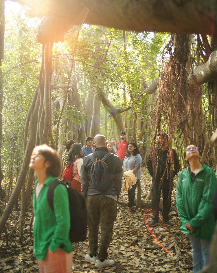 The Healing Power of Forest Bathing Nurturing Well-Being Through Nature's Embrace-Image 3