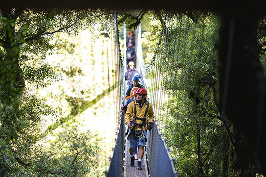 Find Your Way To New Zealand-Image 2