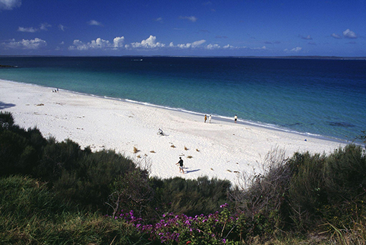 The Allure of Australia Is Undeniable, Especially For Indian Travellers-Image 1