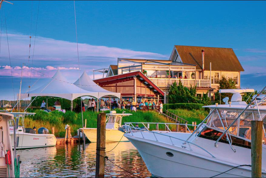 A Guide to Long Island, New York For The T20 World Cup-Image 4