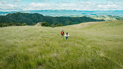 Exploring Tri-Valley A Hidden Gem in Northern California-Image 2