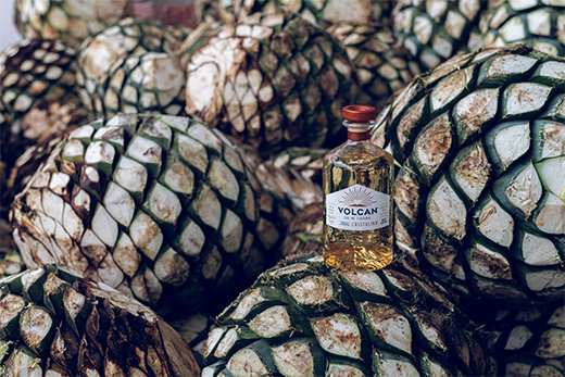 Unwrap the Season’s Best Festive Delights, Luxury Launches, and Holiday Cheer-Image 2